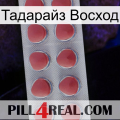 Тадарайз Восход 18